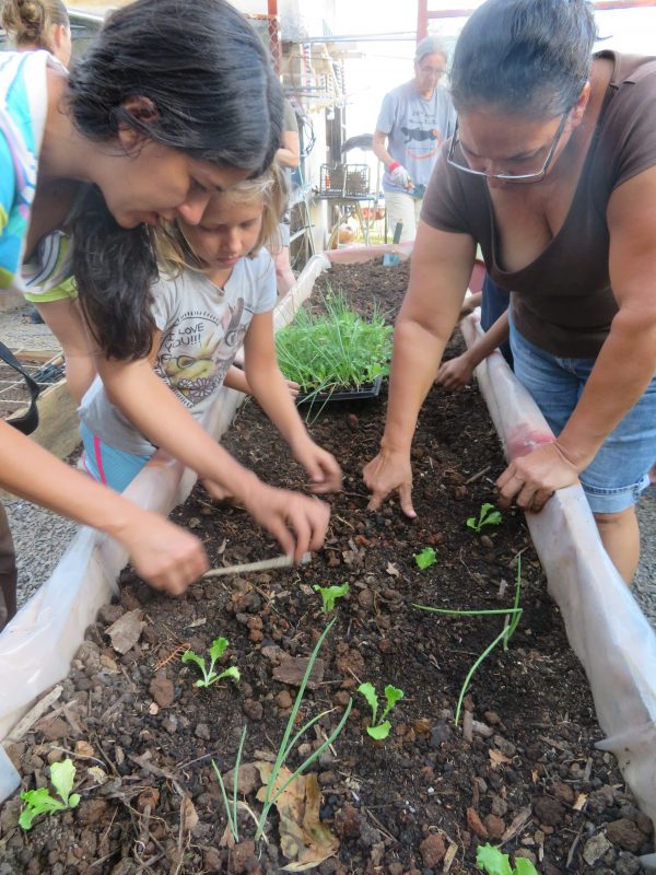 School & Community Gardens