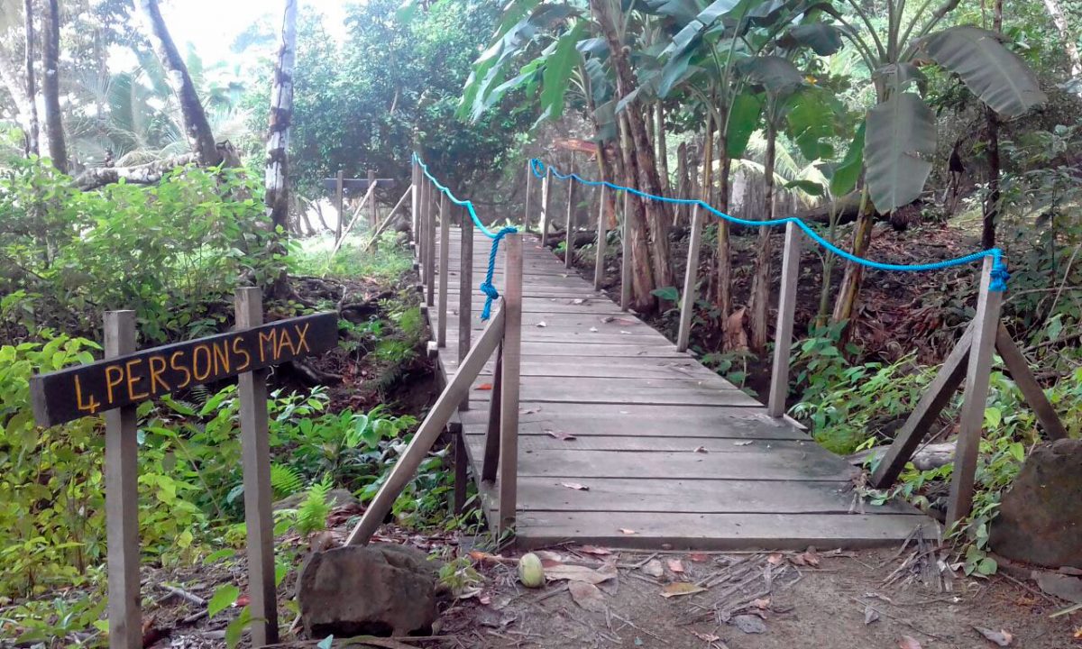 Building Bridges Project