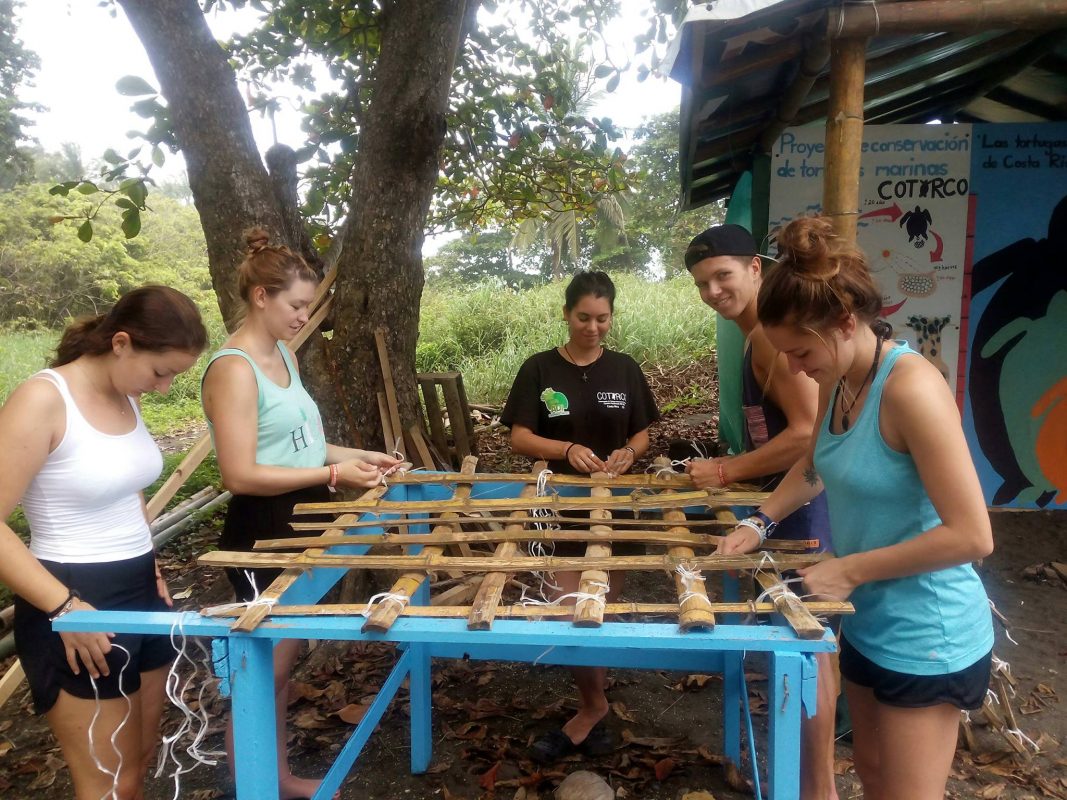 Making turtle nest protectors