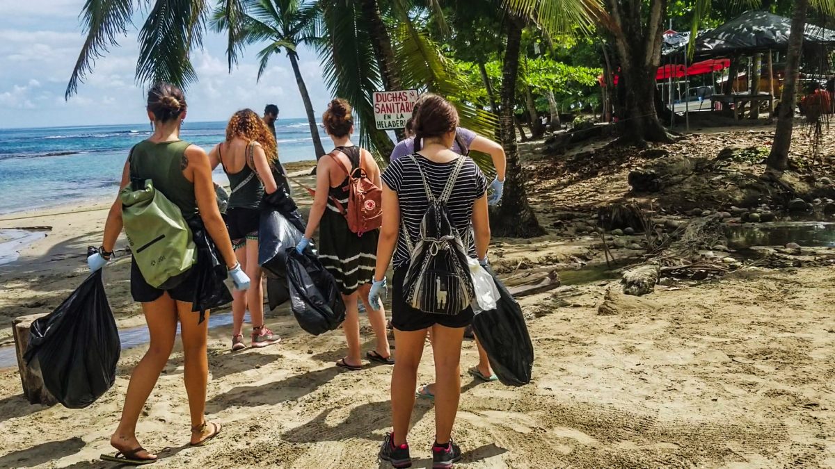 Beach Cleanup
