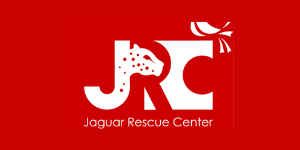 Jaguar Rescue Center